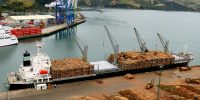 angeliczephyr_ships_cargo_timber_logs_dunedin_lumixfz200_dockworkers-171123